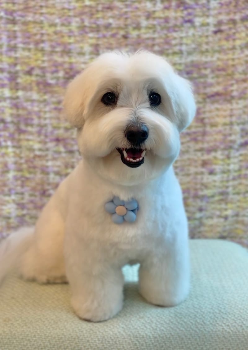 업체 정보 이미지 3