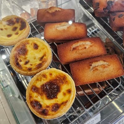 [세종 금남] 아름나무