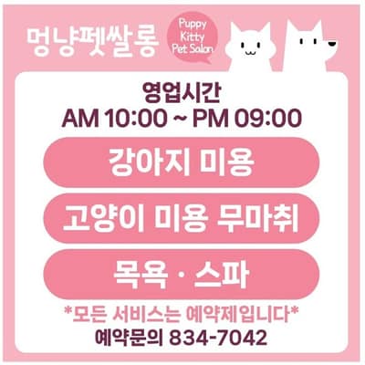 [인천 연수구] 멍냥펫쌀롱