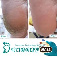 보라공주 로고