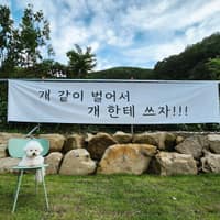 666도그플레이 로고