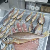 서준수산 로고