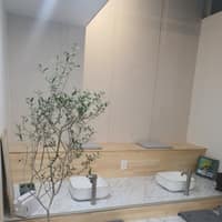 본테라피 로고