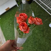 비긴투블룸 로고