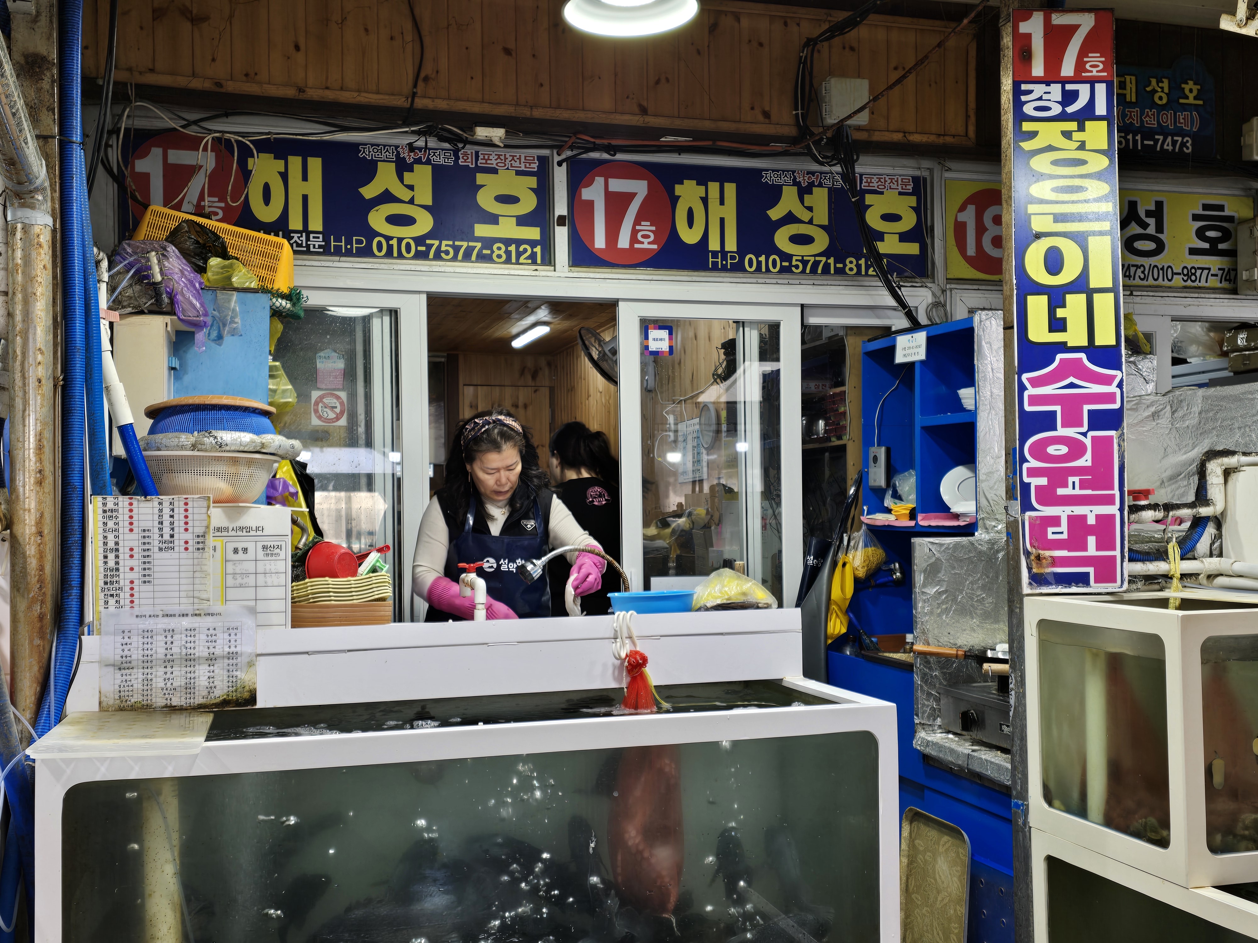 강원 속초시 맛집 해성호 | 활어회 체험단 모집