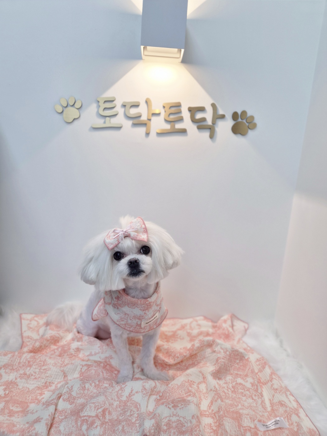 토닥토닥멍살롱 사진 2