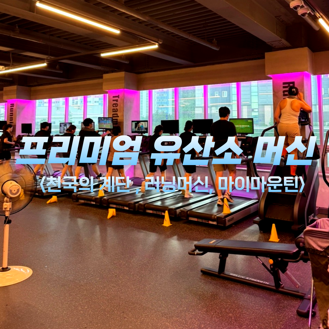 레드짐 서재점 사진 2