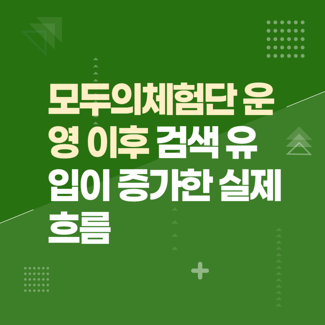 모두의체험단 운영 이후 검색 유입이 증가한 실제 흐름
